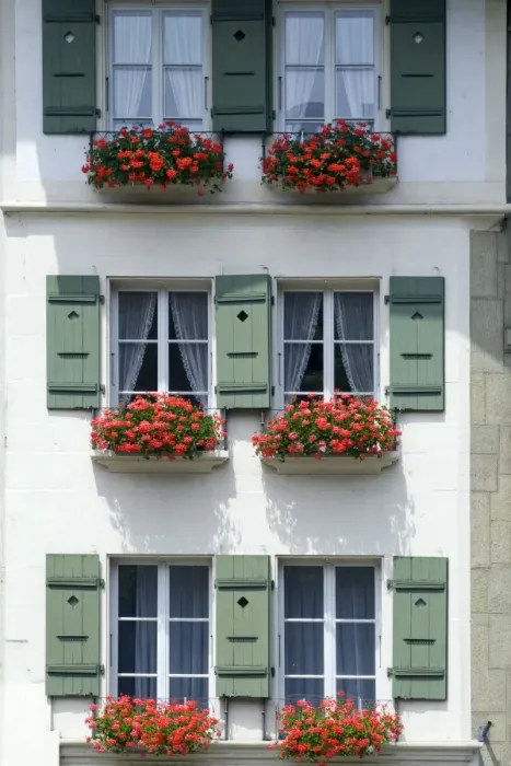 Framed Print : Front of a house with flowerboxes in Bern, Switzerland Framed Print : Front of a house with flowerboxes in Bern, Switzerland