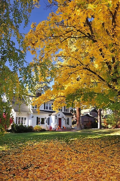 House and gardens in autumn, Bend, Oregon, USA