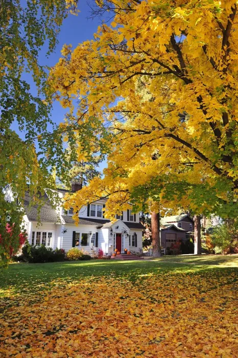 Framed Print : House and gardens in autumn, Bend, Oregon, USA Framed Print : House and gardens in autumn, Bend, Oregon, USA