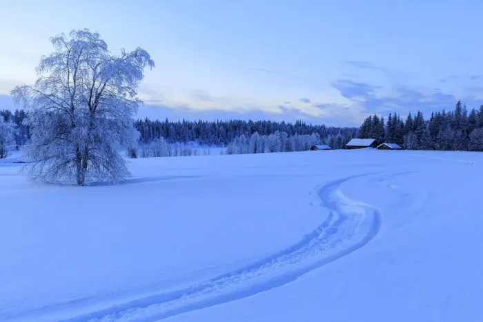 Framed Print : House isolated in the boundless taiga at the border between Sweden and Finland