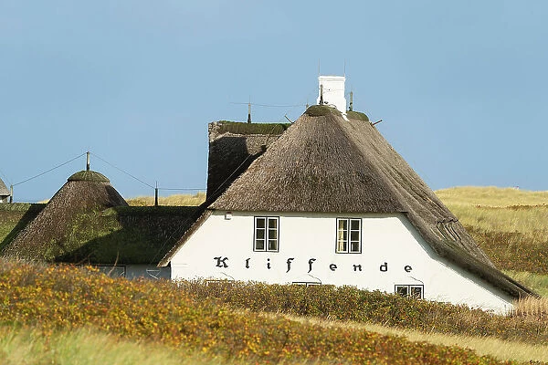 House with traditional thatched roof, Kampen, Sylt, Nordfriesland, Schleswig-Holstein, Germany