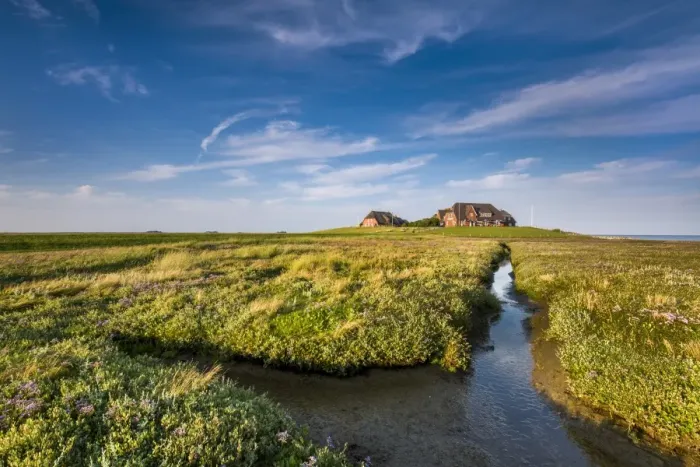 Framed Print : House on a wharf, Hallig Langeness, Northern Frisia, Schleswig-Holstein, Germany