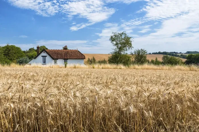 Framed Print : House in the wheat near Chilham, Kent, England Framed Print : House in the wheat near Chilham, Kent, England