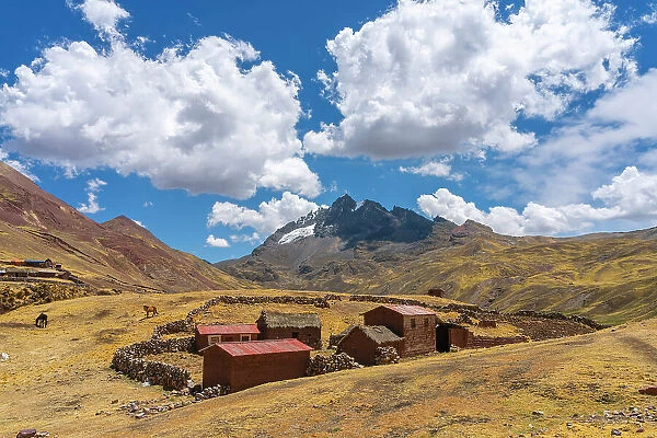 Houses on countryside with horses grazing around with Takusiri mountain (5350 m) in background, near Uchullujllo, Pitumarca District, Canchis Province, Cuzco Region, Peru