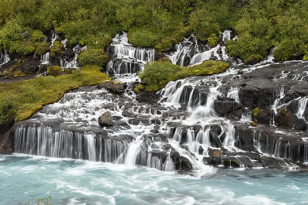 Hraunfossar waterfall flowing through rocks in forest, Western Iceland, Iceland