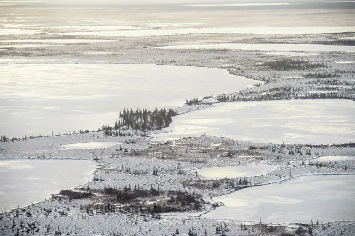 Framed Print : Hudson Bay lowlands at freeze-up from the air- Boreal trees and ponds, Churchill, Manitoba, Canada Framed Print : Hudson Bay lowlands at freeze-up from the air- Boreal trees and ponds, Churchill, Manitoba, Canada
