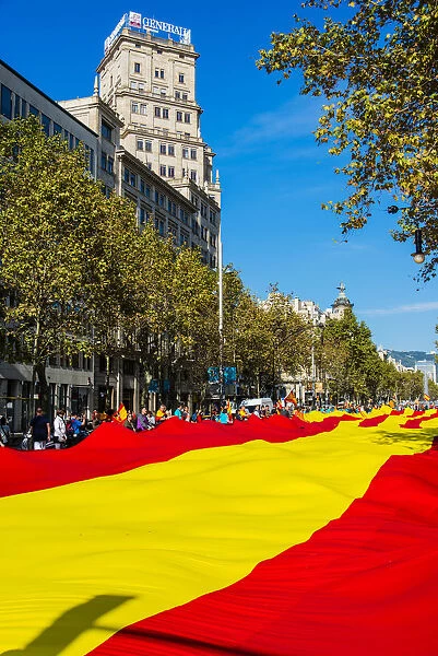 Huge spanish flag unrolled in Passeig de Gracia during the celebration of the Spain s
