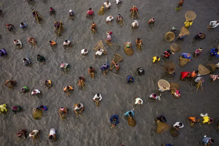 Framed Print : Hundreds of villagers, fishermen take part Traditional fishing festival, Pabna Framed Print : Hundreds of villagers, fishermen take part Traditional fishing festival, Pabna