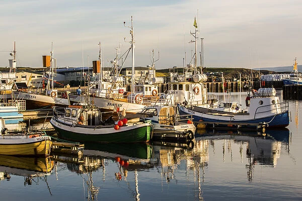 Husavik harbour, Iceland. boats ready for whale watching, sunset