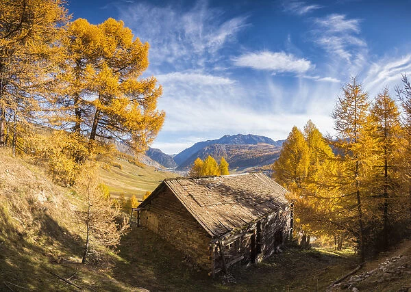 The hut in the woodland, Livigno, Province of Sondrio, Lombardy, Italy