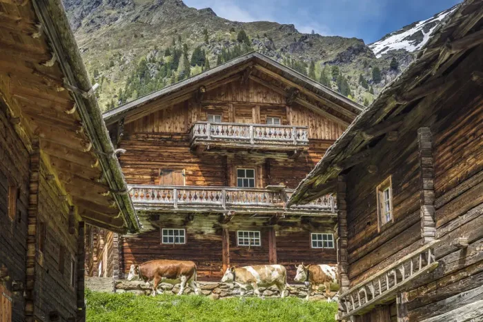 Framed Print : Huts of the Oberalleralm (1, 870 m) in the rear Villgratental, view to the Riesenspitze (2, 774 m), East Tyrol, Tyrol, Austria Framed Print : Huts of the Oberalleralm (1, 870 m) in the rear Villgratental, view to the Riesenspitze (2, 774 m), East Tyrol, Tyrol, Austria