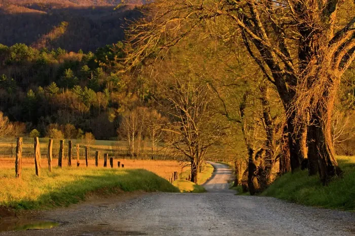 Framed Print : Hyatt Lane, Great Smoky Mountains National Park, Tennessee, USA Framed Print : Hyatt Lane, Great Smoky Mountains National Park, Tennessee, USA