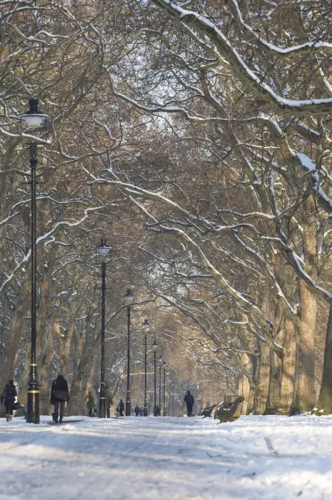 Framed Print : Hyde Park Snow Scene, London, England, UK Framed Print : Hyde Park Snow Scene, London, England, UK