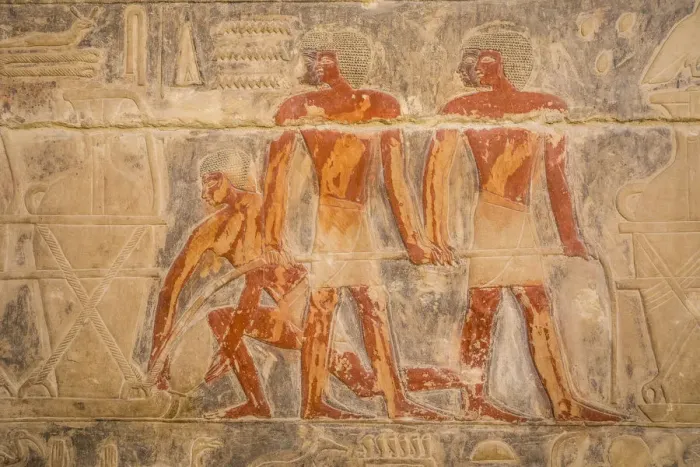 Framed Print : Hyroglyphs in the Mastaba (tomb) of Kagemni (c. 2321-2290 B. C. ) by the Pyramid of Teti