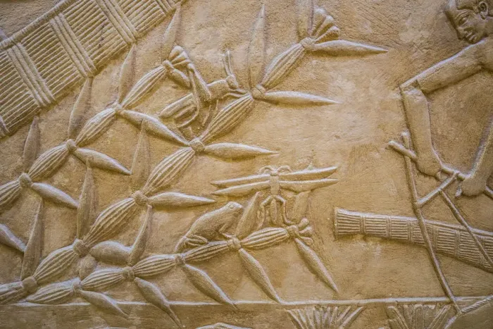 Framed Print : Hyroglyphs in the Mastaba (tomb) of Kagemni (c. 2321-2290 B. C. ) by the Pyramid of Teti