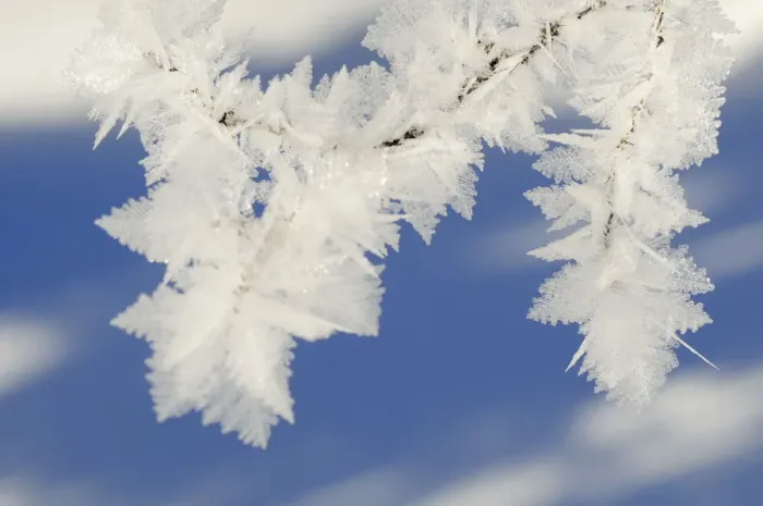 Framed Print : Ice crystals Framed Print : Ice crystals