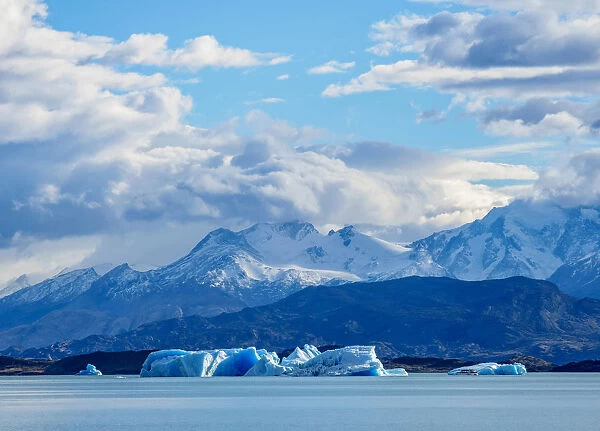 Icebergs on Lake Argentino, Los Glaciares National Park, Santa Cruz Province, Patagonia