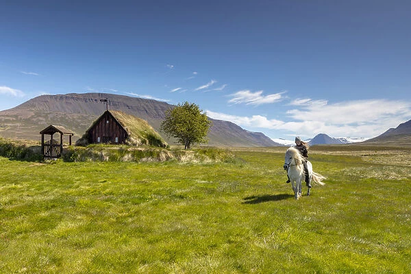 Iceland, North Iceland, Skagafjorður, a boy rides a white Icelandic horse past Vidimyri turf covered church