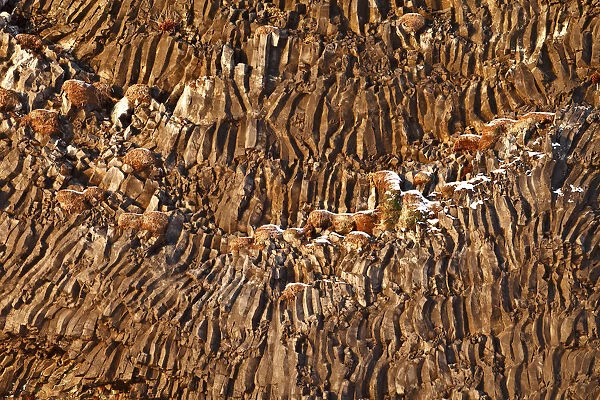 Iceland, Vik, Great formation of basaltic rocks on the beach of Vik