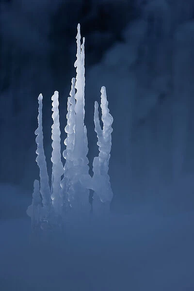 Icicles by Pericnik Waterfall, Julian Alps, Slovenia