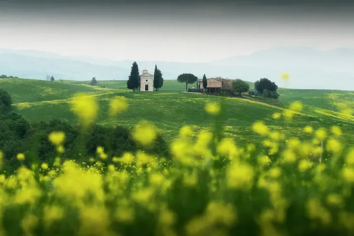 Framed Print : The iconic Chapel of Madonna di Vitaleta appearing through some mustard flowers on a gloomy spring morning. Val d'Orcia, Tuscany, Italy