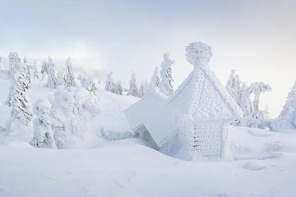 Icy Chapel and snow covered Spruce trees, Bavarian Forest, Big Arber, Bavaria, Germany