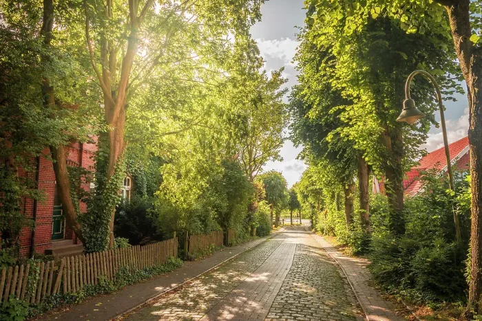 Framed Print : Idyllic alley in the village of Pilsum, Krummhoern, East Frisia, Lower Saxony, Germany Framed Print : Idyllic alley in the village of Pilsum, Krummhoern, East Frisia, Lower Saxony, Germany