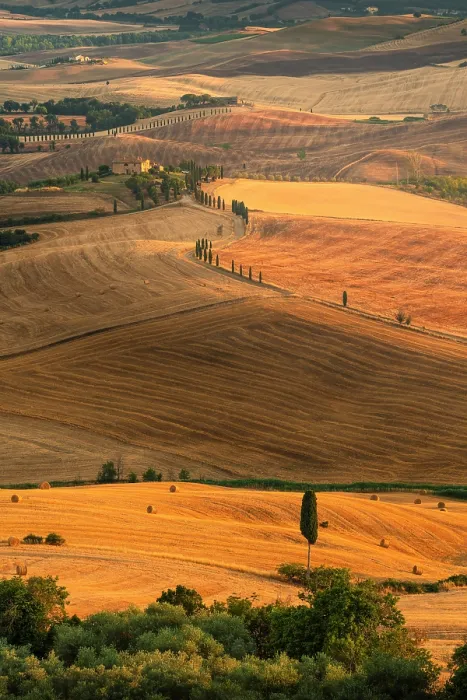Framed Print : Idyllic landscape of Tuscan hills at sunset. Pienza, Orcia valley, Siena province, Tuscany, Italy