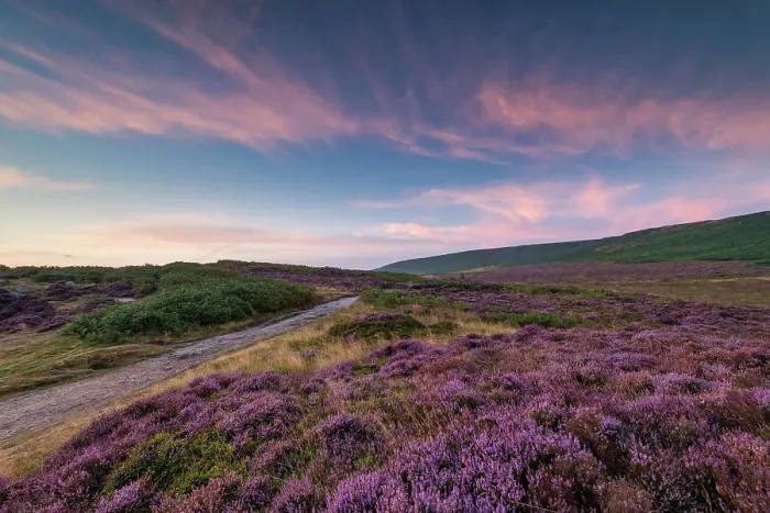 Framed Print : Ilkley Moor at Sunrise, Ilkley, West Yorkshire, England Framed Print : Ilkley Moor at Sunrise, Ilkley, West Yorkshire, England