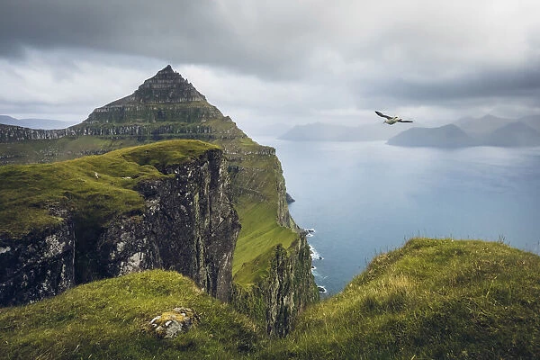 The impressive cliffs on the island of Kalsoy from the top of Borgarin mountain. Faroe Islands