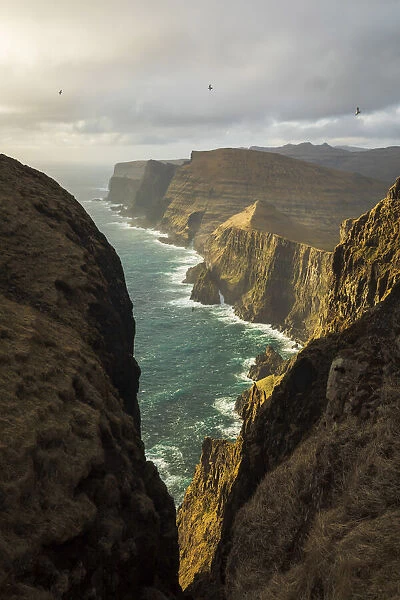 The impressive cliffs on the west coast of Suðuroy seen from Beinisvorð. Suðuroy, Faroe Islands