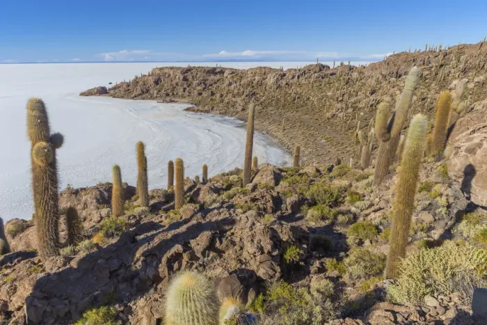 Framed Print : Incahuasi island, Uyuni salt flat, Salar de Uyuni, Potosi department, Bolivia