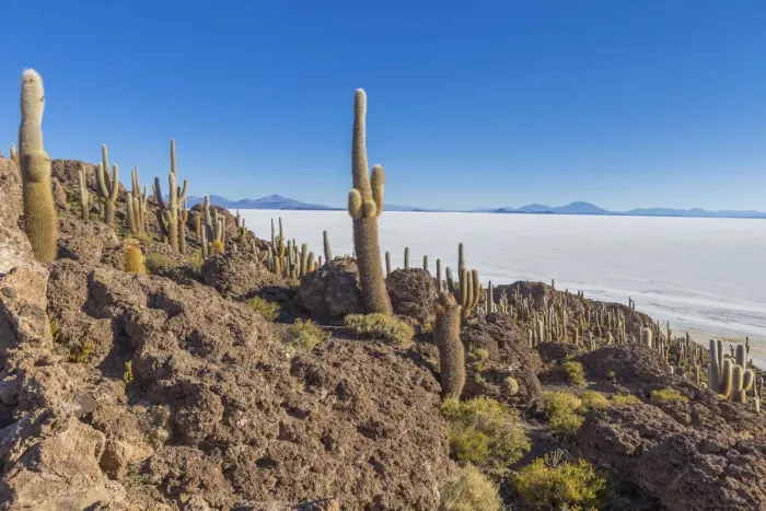 Framed Print : Incahuasi island, Uyuni salt flat, Salar de Uyuni, Potosi department, Bolivia Framed Print : Incahuasi island, Uyuni salt flat, Salar de Uyuni, Potosi department, Bolivia