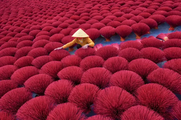 Framed Print : Incense workers sits surrounded by thousands of incense sticks in Quang Phu Cau, Hanoi Framed Print : Incense workers sits surrounded by thousands of incense sticks in Quang Phu Cau, Hanoi