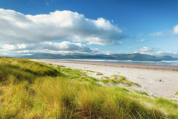 Inch Beach, Dingle, Dingle Peninsula, Wild Atlantic Way, County Kerry, Munster Province, west coast of Ireland, Ireland, Europe