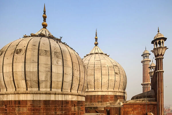 India, Delhi, Old Delhi, Jama Masjid - Jama Mosque built by Shah Jahan