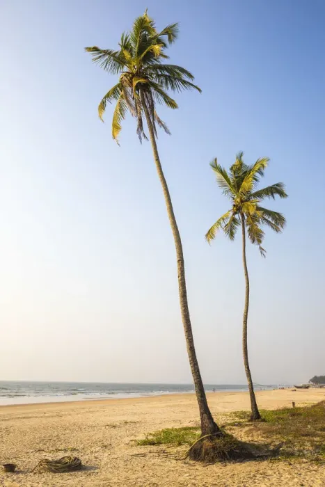 Framed Print : India, Goa, Colva beach Framed Print : India, Goa, Colva beach
