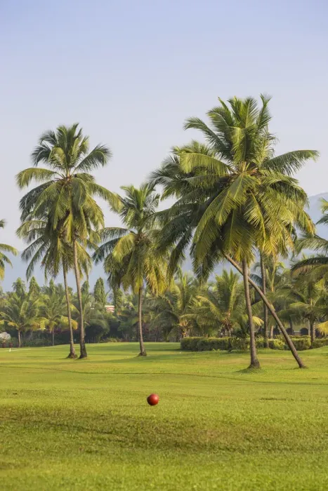 Framed Print : India, Goa, Rajbach beach, Golf course at Liat hotel Framed Print : India, Goa, Rajbach beach, Golf course at Liat hotel