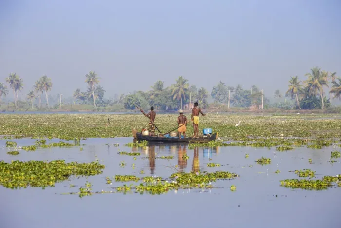Framed Print : India, Kerala, Alappuzha (Alleppey), Alappuzha (Alleppey) backwaters Framed Print : India, Kerala, Alappuzha (Alleppey), Alappuzha (Alleppey) backwaters