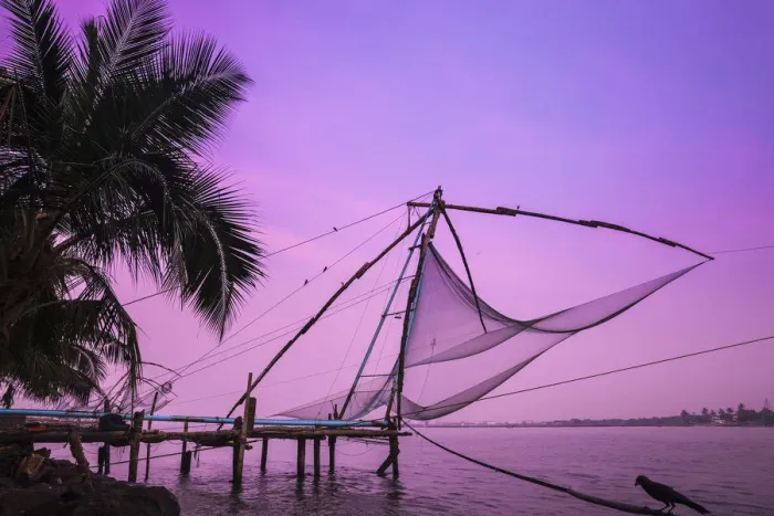 Framed Print : India, Kerala, Cochin - Kochi, Fort Kochi, Chinese fishing nets at sunrise Framed Print : India, Kerala, Cochin - Kochi, Fort Kochi, Chinese fishing nets at sunrise