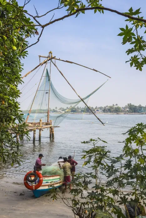 Framed Print : India, Kerala, Cochin - Kochi, Fort Kochi, Fishermen untangle nets wtth Chinese fishing