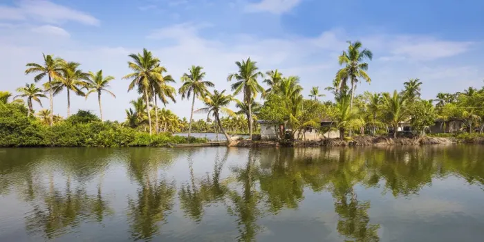 Framed Print : India, Kerala, Kollam, Munroe Island, Palm trees reflecting in backwaters
