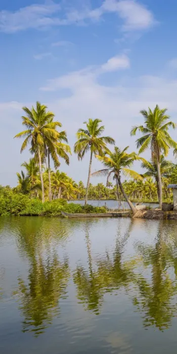 Framed Print : India, Kerala, Kollam, Munroe Island, Palm trees reflecting in backwaters Framed Print : India, Kerala, Kollam, Munroe Island, Palm trees reflecting in backwaters
