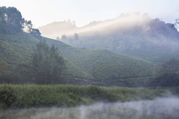 India, Kerala, Munnar, Early morning mist on Muthirappuzhayar River