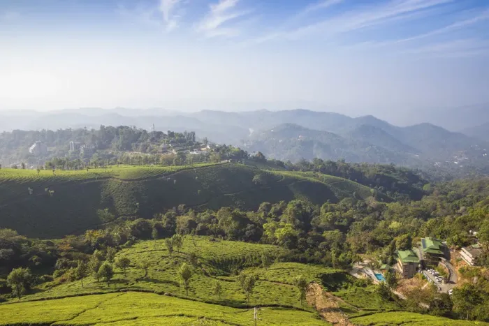 Framed Print : India, Kerala, Munnar, View over tea estates Framed Print : India, Kerala, Munnar, View over tea estates