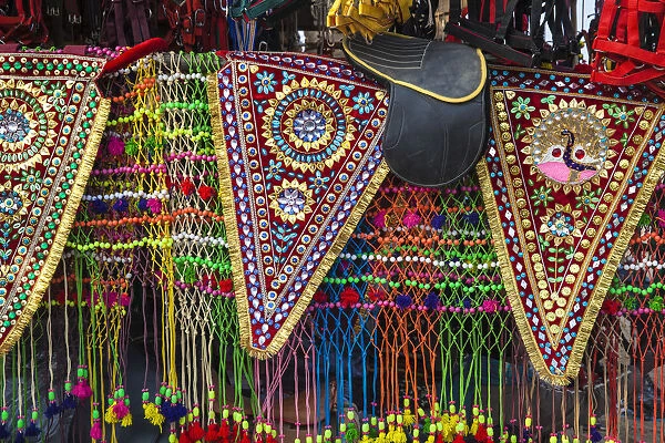 India, Rajasthan, Pushkar, Stall selling camel decorations and embellishments at Pushkar