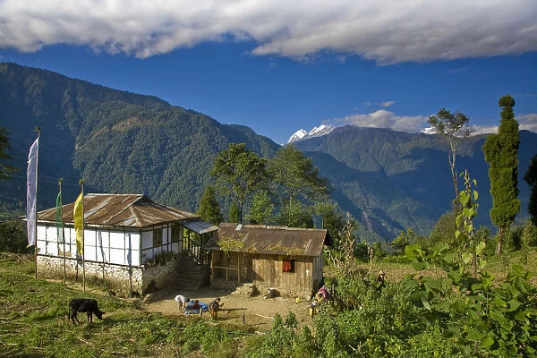 India, Sikkim, Khecheopalri Lake, House with Kanchenjunga range in background