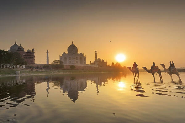 India, the Taj Mahal mausoleum reflecting in the Yamuna river at sunset