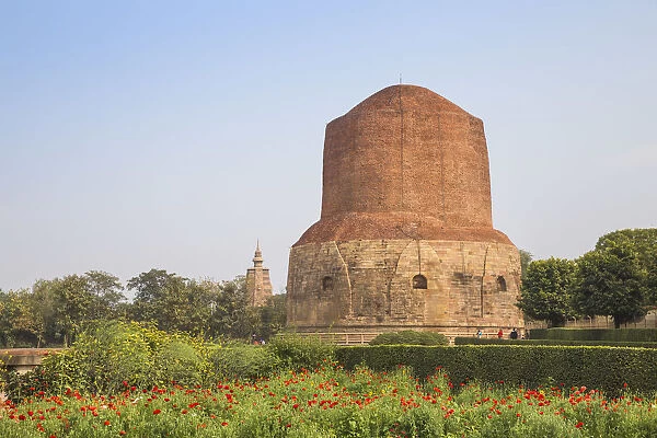 India, Uttar Pradesh, Sarnarth, near Varanasi, Dhamekh Stupa and ruins complex, The