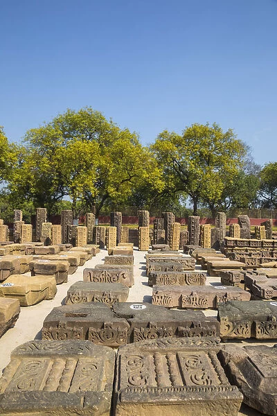 India, Uttar Pradesh, Sarnarth, near Varanasi, Dhamekh Stupa and ruins complex